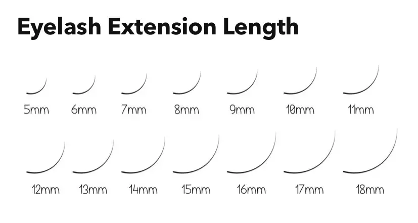 Lengths of eyelash lash extensions 