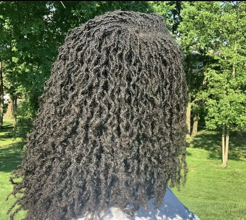 Sister locs hair style 