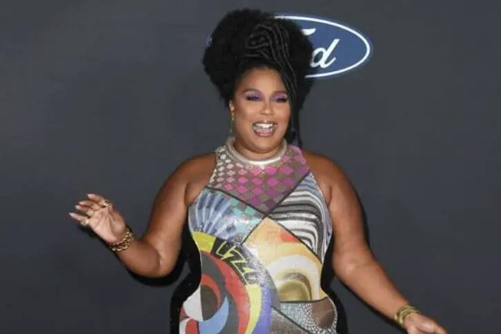 lizzo outfits in bold print dress