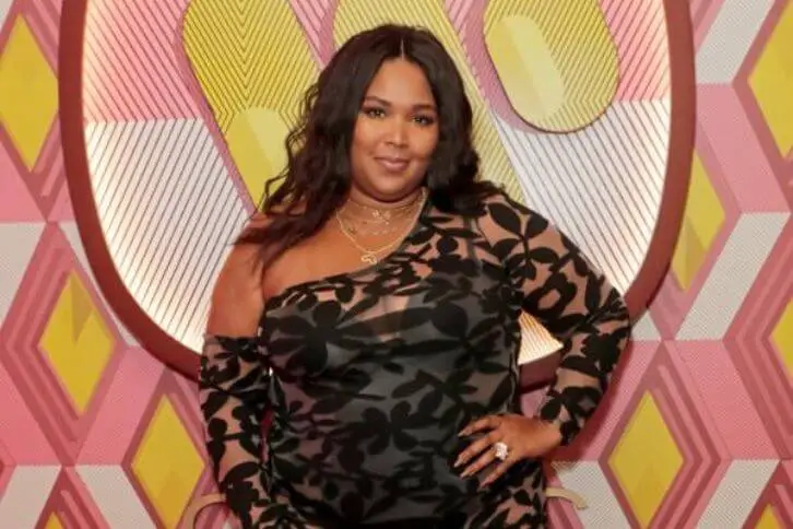 lizzo outfits in sheer dress