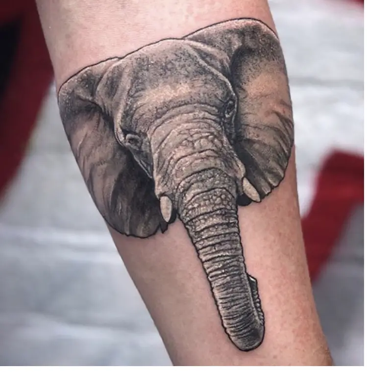 Elephant head design 