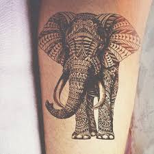 Tribal inspired elephant tattoo 