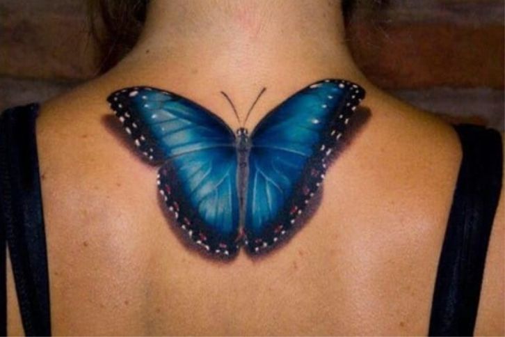 Realistic butterfly