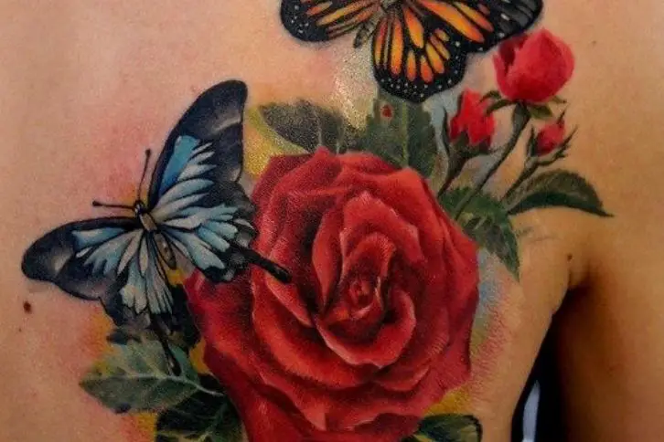 Rose and butterfly