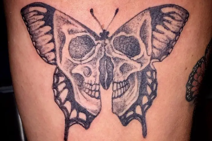 Skull butterfly