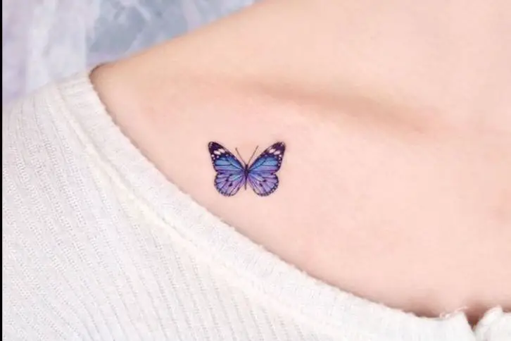 small butterfly