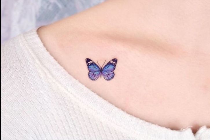 small butterfly