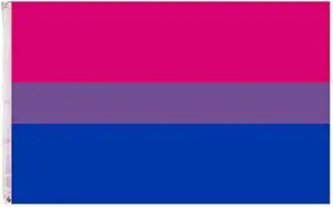 The Bisexual Pride Flag 