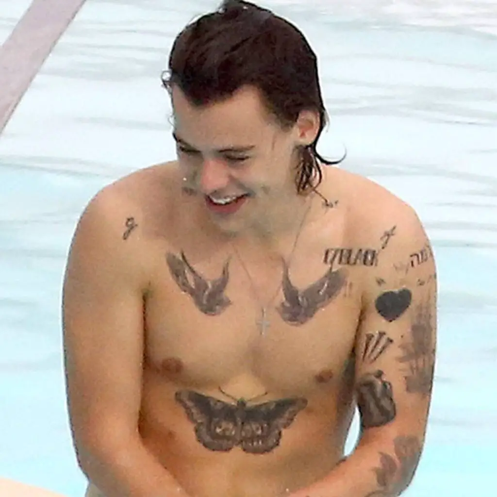 Harry styles butterfly tattoo design