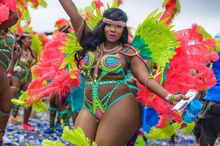 plus size carnival costumes