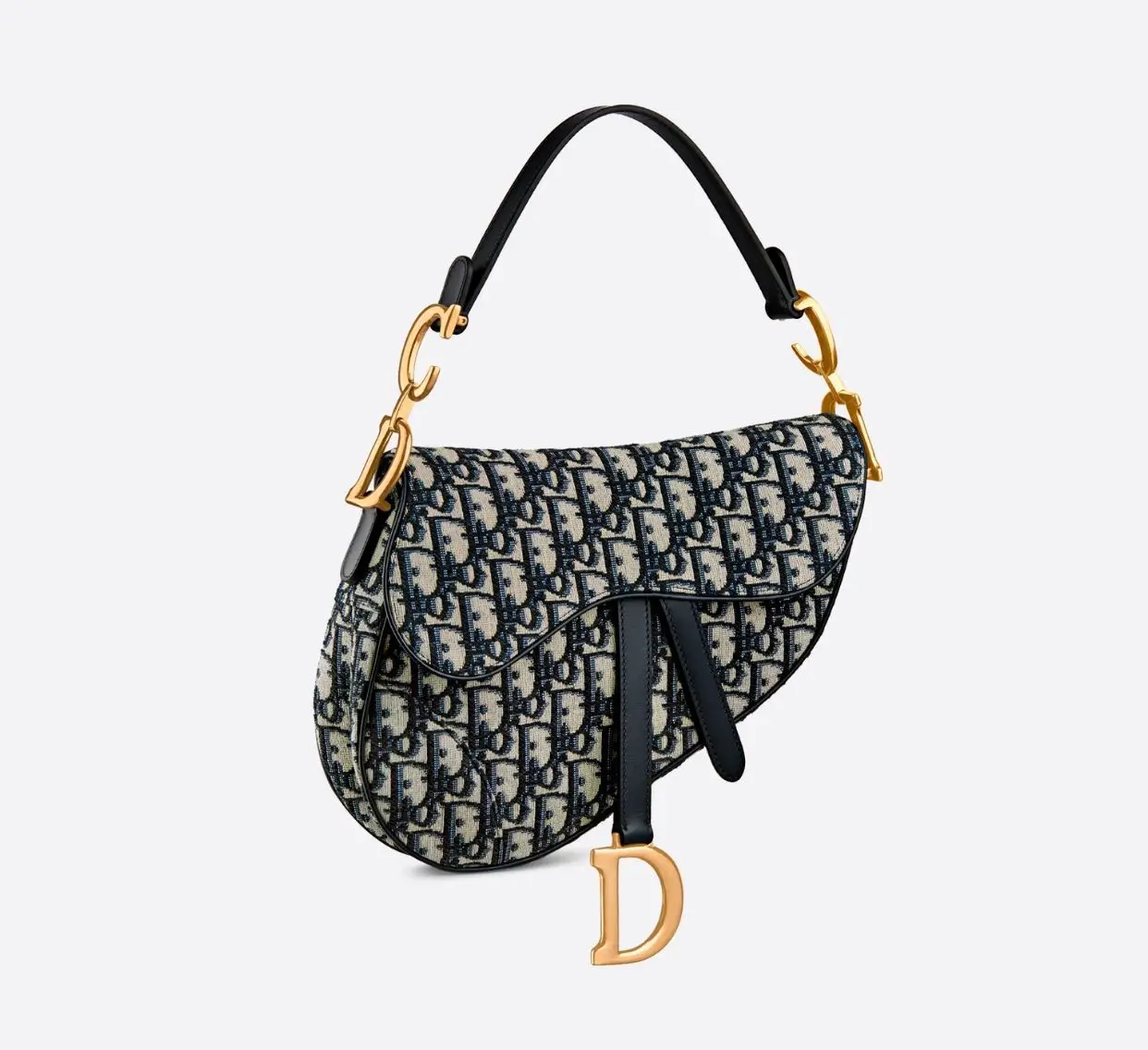 the Christian Dior saddle bag