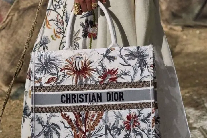 Best Christian Dior Bags 2022 - Price, Where To Buy, Cheap Bags