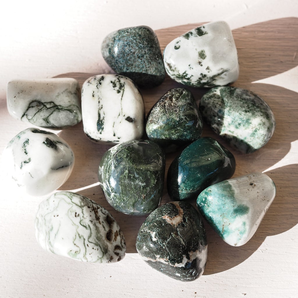 tree agate crystal stone