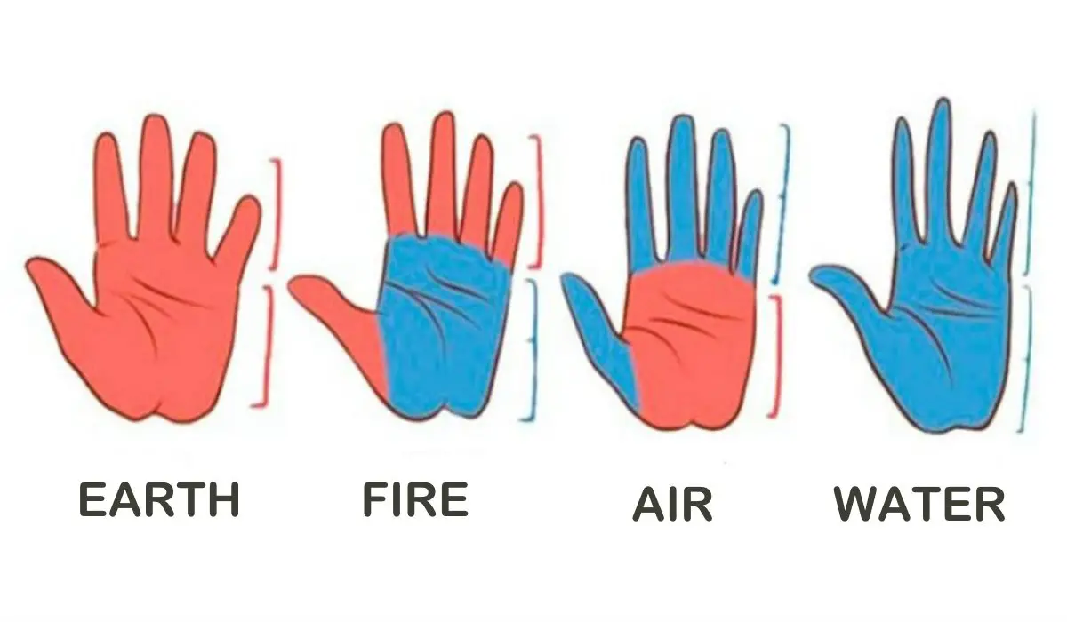 What-the-Shape-of-Your-Hands-Says-About-Your-Personality