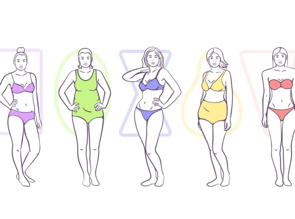 bbw body type and other shapes